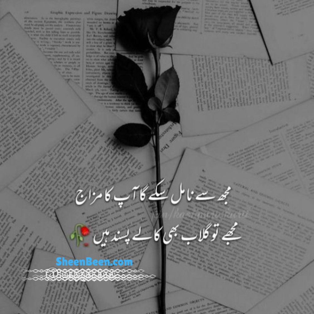 Quotes About Trust In Urdu