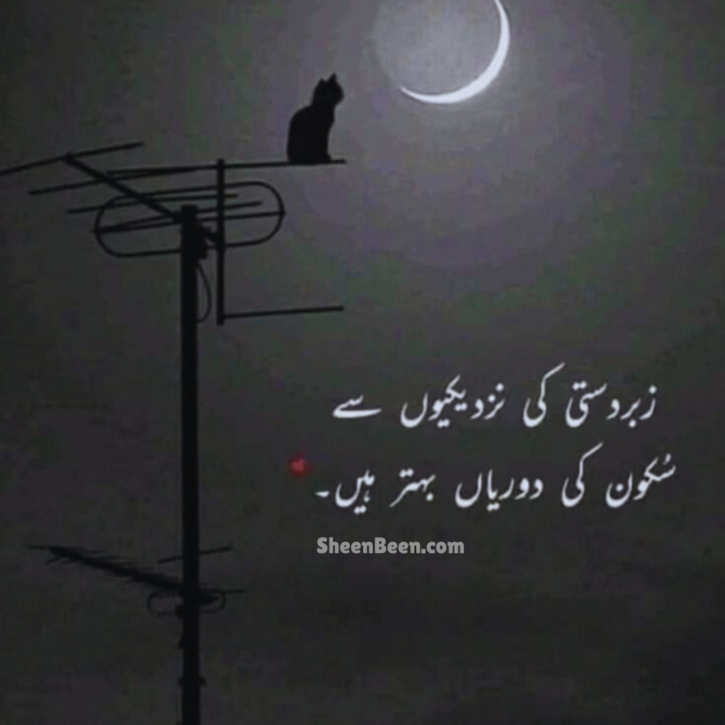 Quotes About Trust In Urdu