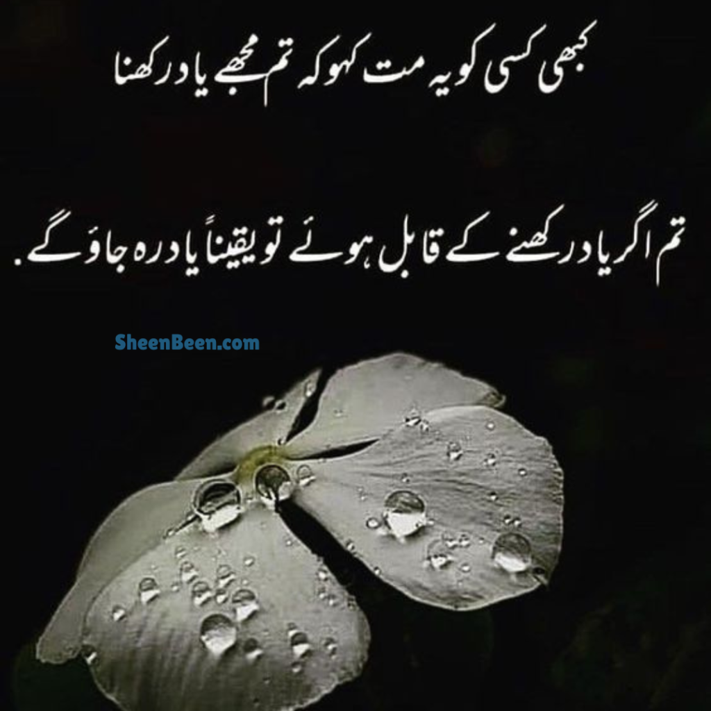 Quotes About Trust In Urdu