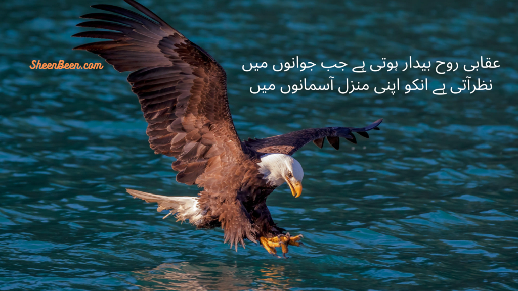 Motivational Quotes In Urdu