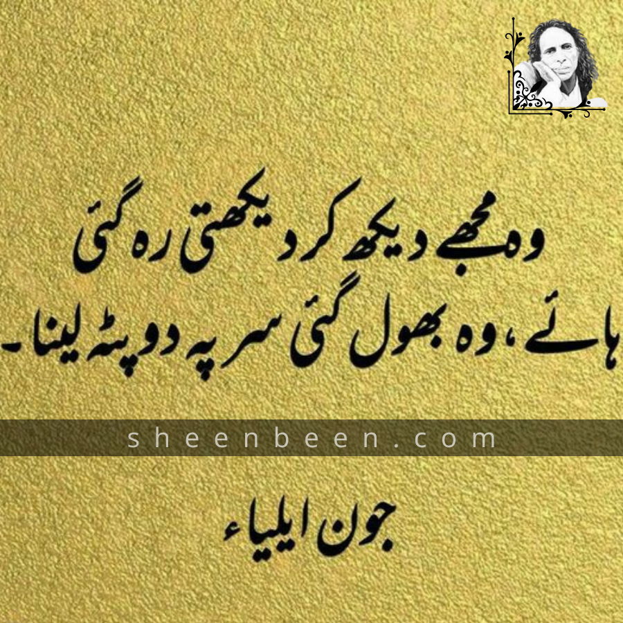 shayad jaun elia