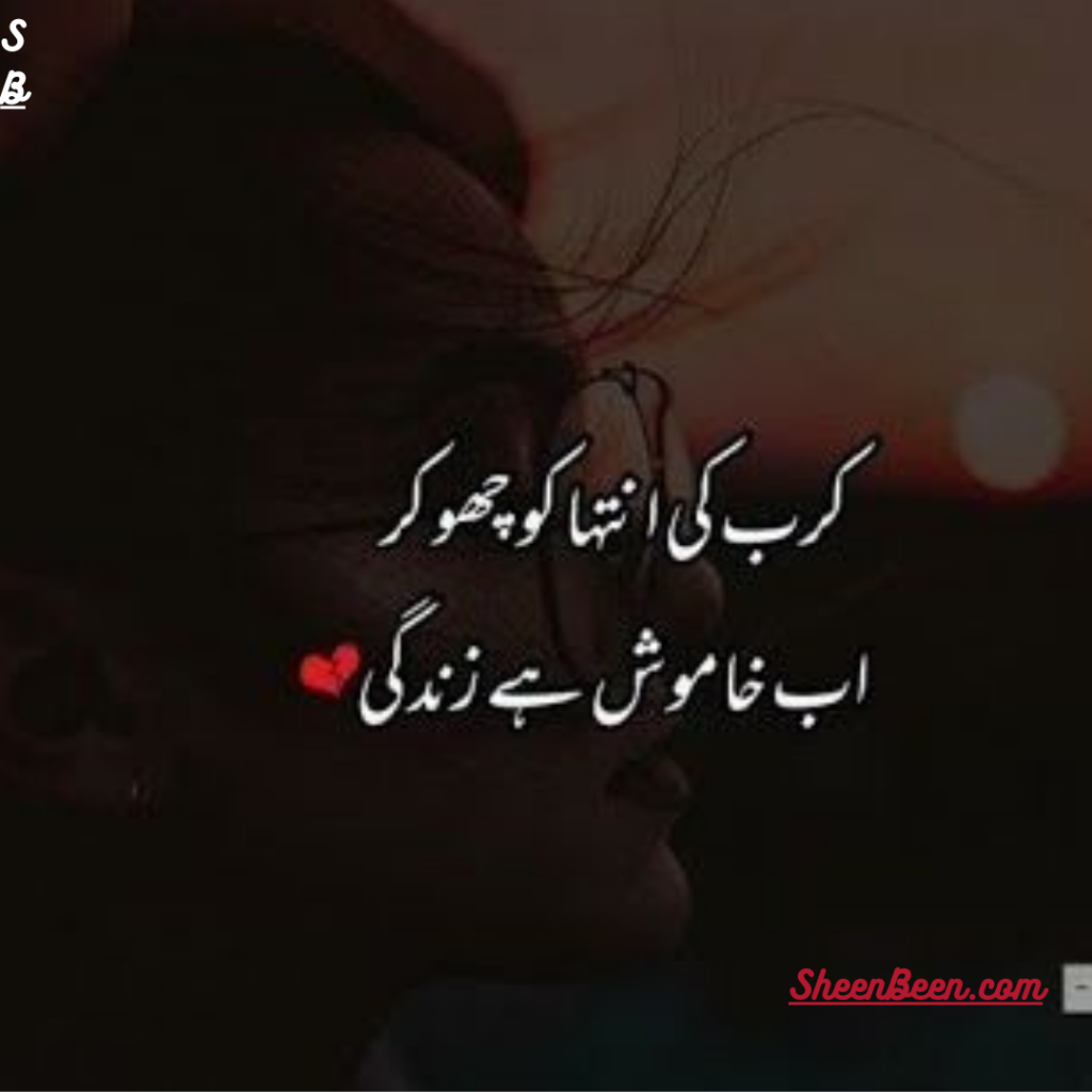 Urdu Poetry Lines Text