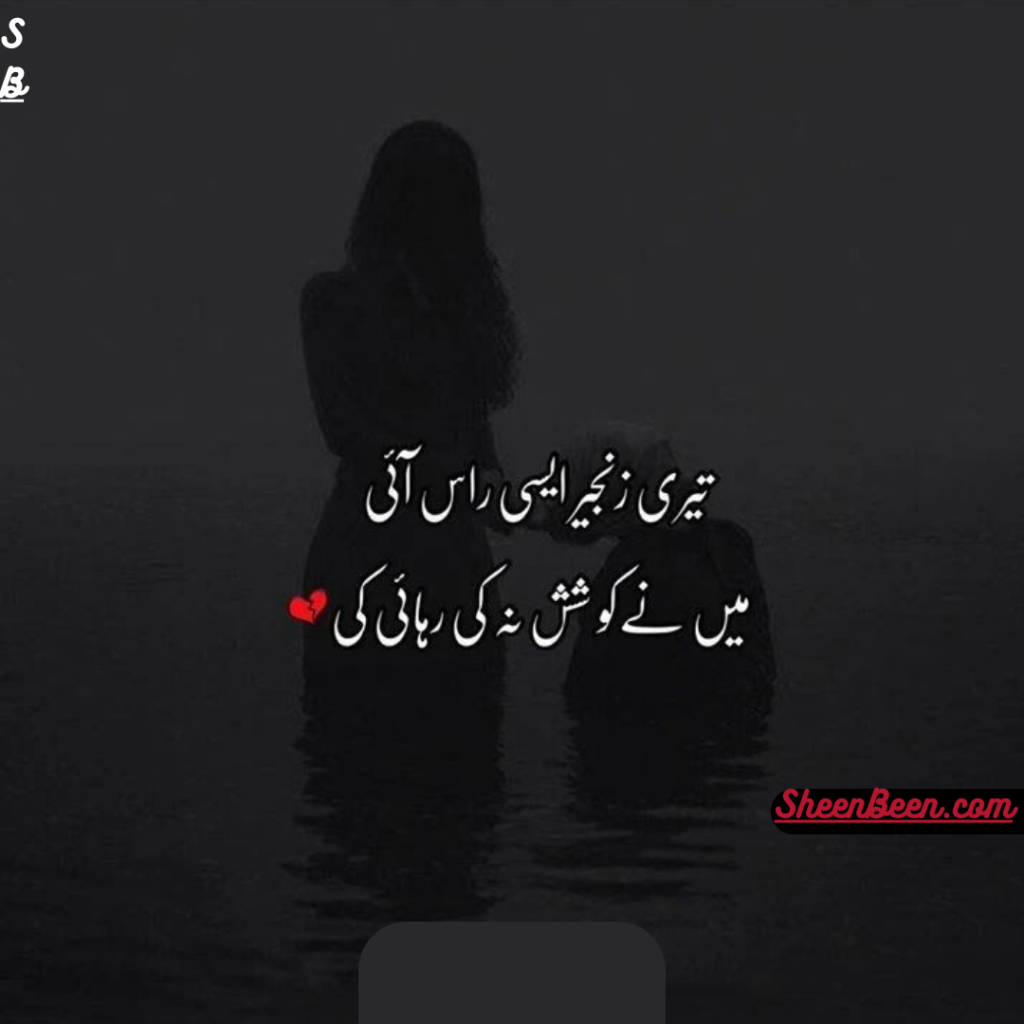 Urdu Poetry Lines Text