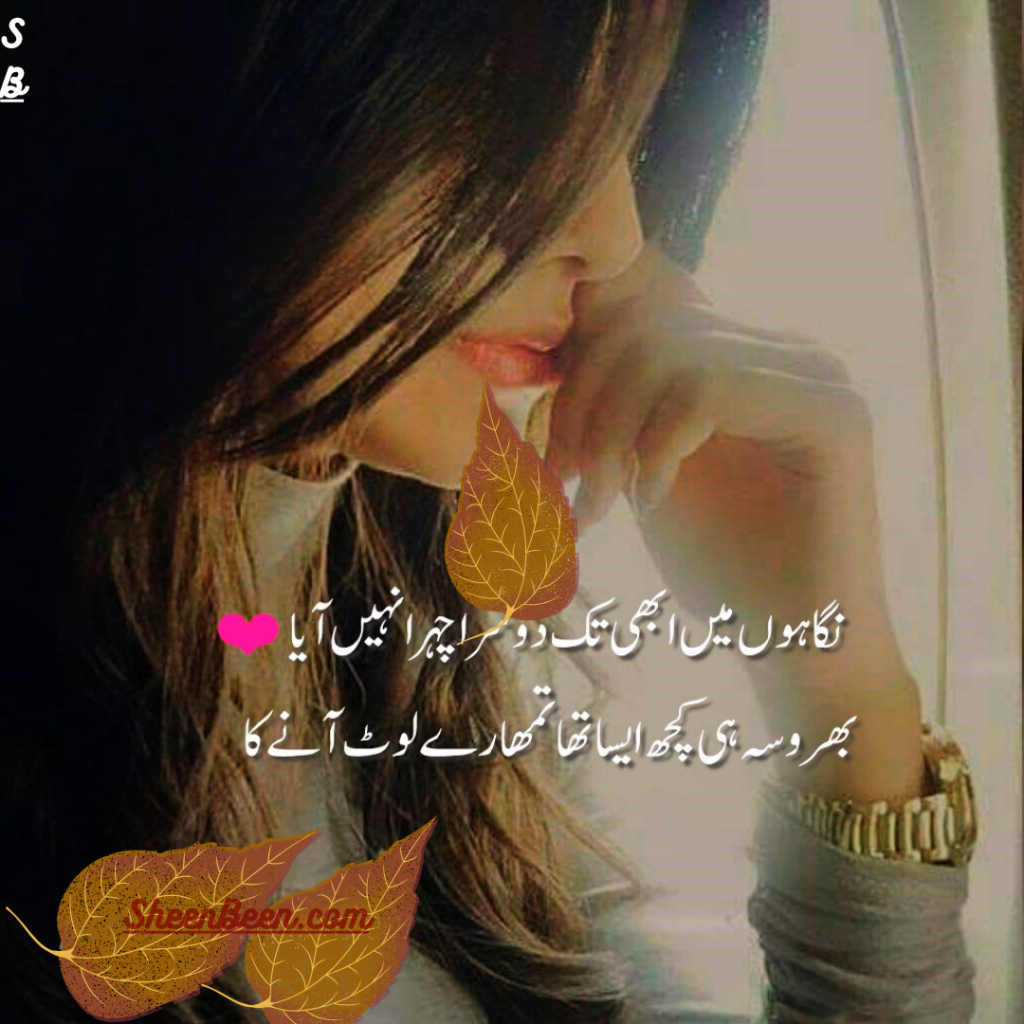 Urdu Poetry Lines Text