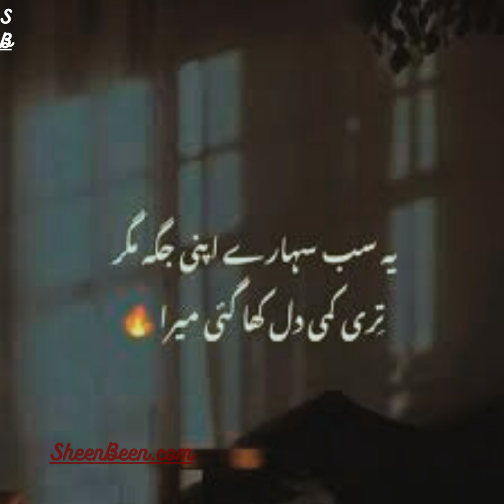 Urdu Poetry Lines Text